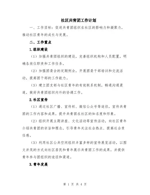 社区共青团工作计划