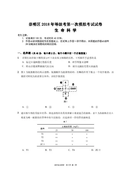崇明区2018年等级考第一次模拟考试试卷 生命科学