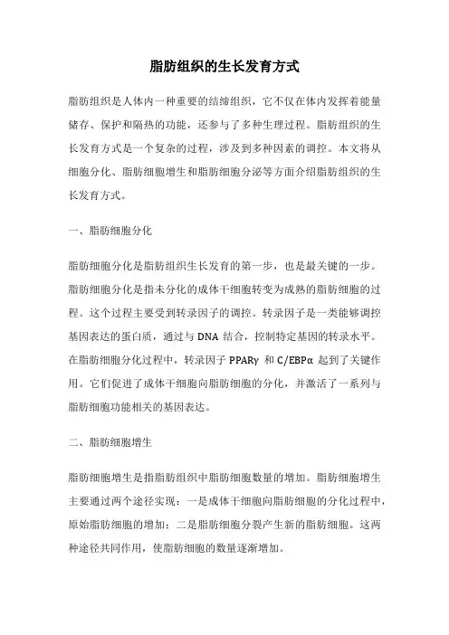 脂肪组织的生长发育方式