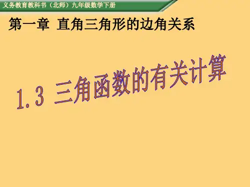 北师大版九年级数学下册教学课件：1.3三角函数的有关计算(共16张PPT)