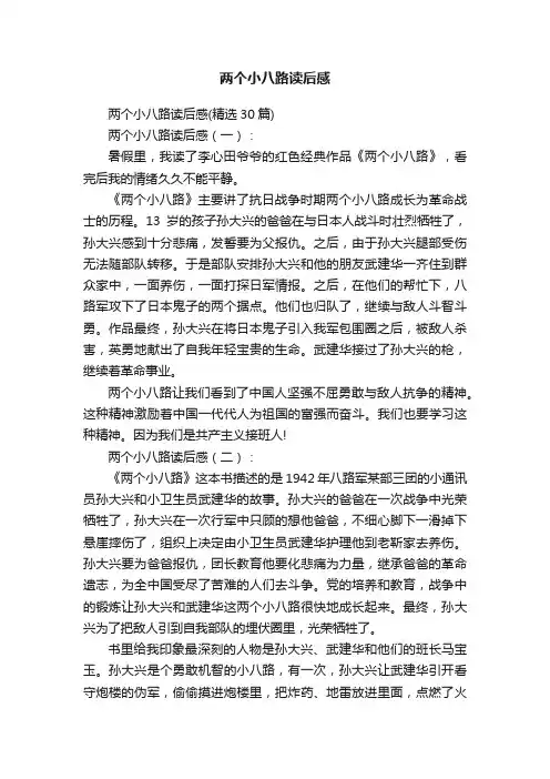 两个小八路读后感