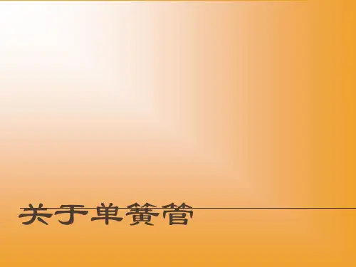 关于单簧管全解