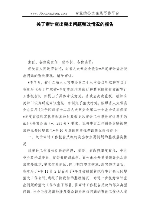关于审计查出突出问题整改情况的报告