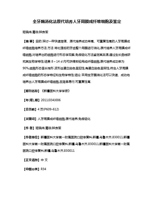 全牙酶消化法原代培养人牙周膜成纤维细胞及鉴定