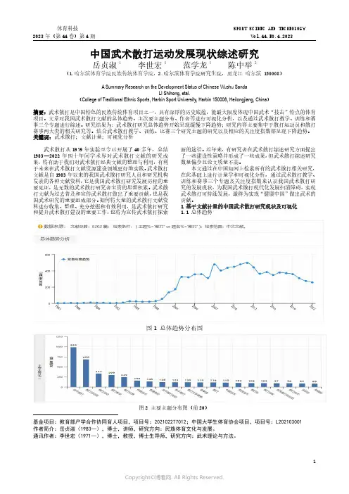 中国武术散打运动发展现状综述研究