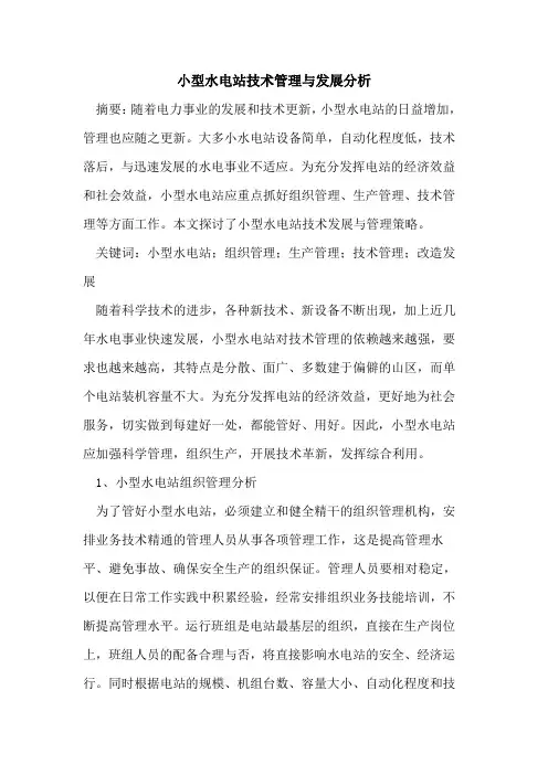 小型水电站技术管理与发展分析[论文]