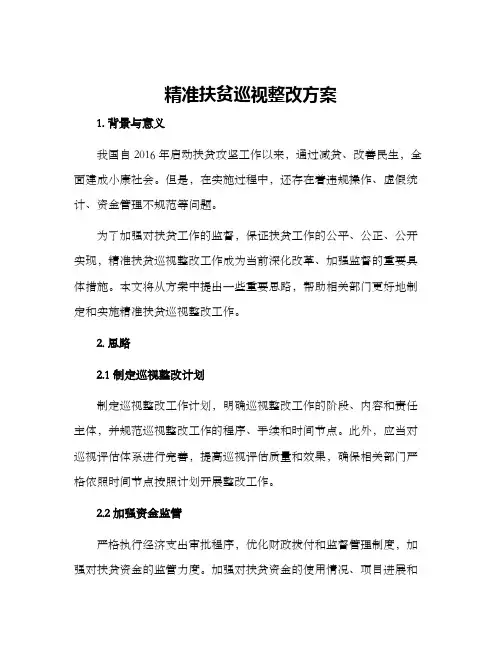 精准扶贫巡视整改方案