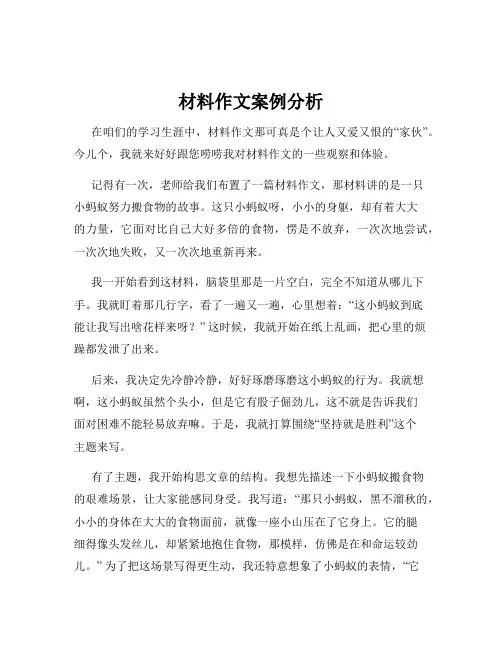 材料作文案例分析