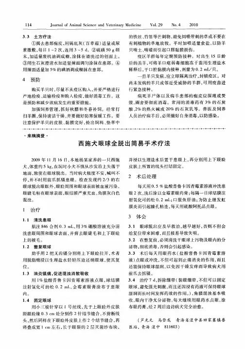 西施犬眼球全脱出简易手术疗法