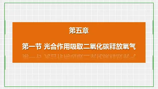 人教版七上.1光合作用吸收二氧化碳释放氧气 课件