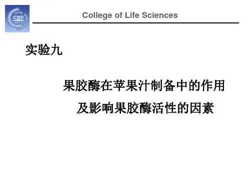 实验9-果胶酶实验