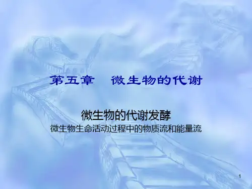 第五章 微生物的代谢