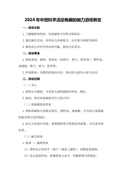 2024年中班科学活动有趣的磁力游戏教案