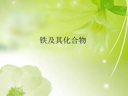 铁及其化合物的性质PPT教学课件