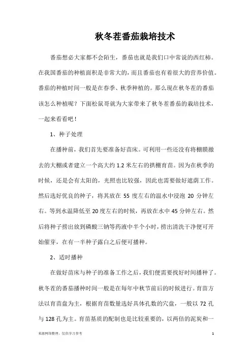 秋冬茬番茄栽培技术