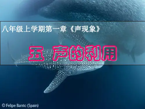 声的利用(物理课件)