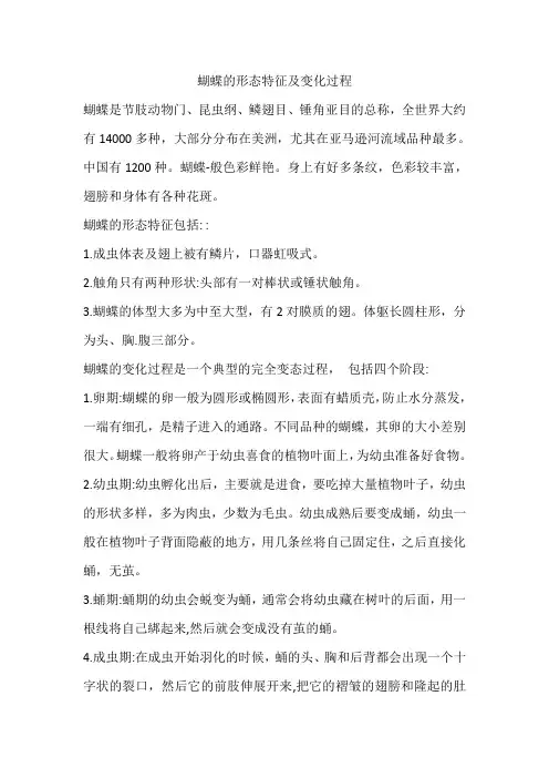 蝴蝶的形态特征及变化过程