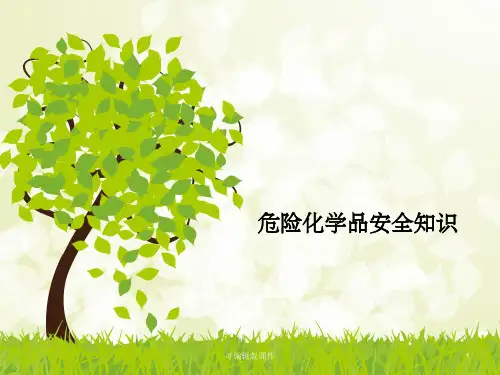 危险化学品安全知识ppt课件