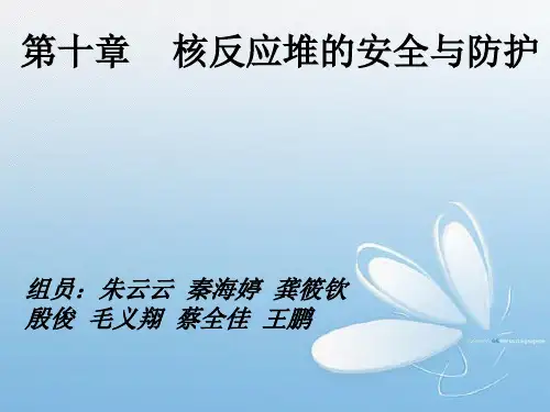 核反应堆的安全与防护  ppt课件
