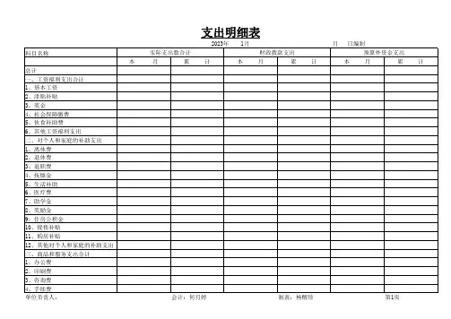 公司支出明细表