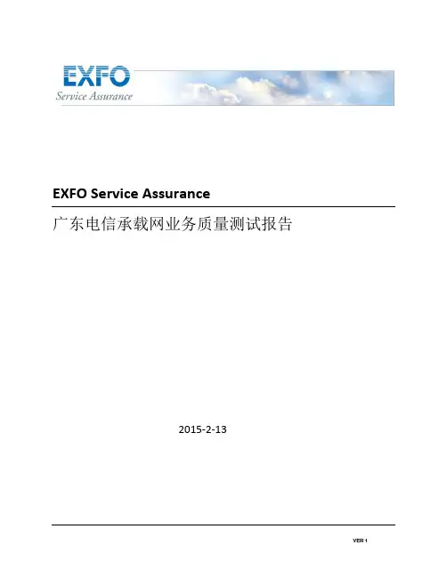 探针测试报告