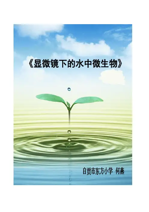 显微镜下的水中微生物