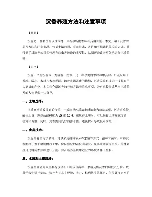 沉香养殖方法和注意事项