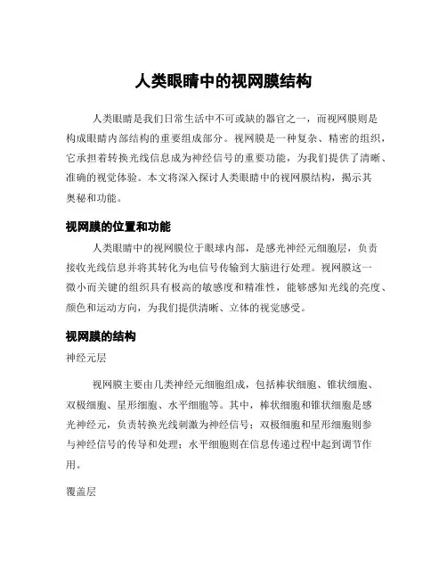 人类眼睛中的视网膜结构