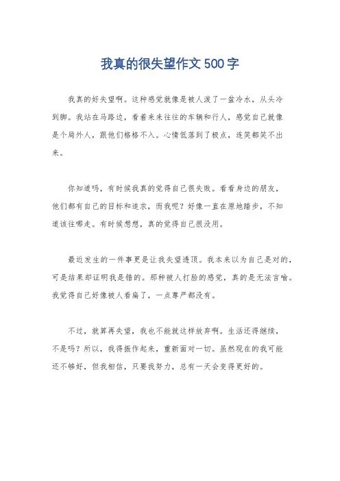 我真的很失望作文500字