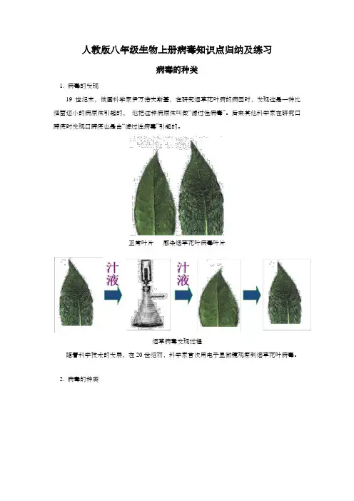 人教版八年级生物上册病毒知识点归纳及练习