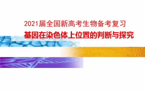 2021届全国新高考生物备考复习 基因在染色体上位置的判断与探究