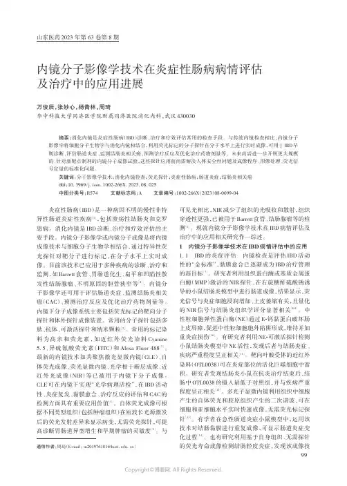 内镜分子影像学技术在炎症性肠病病情评估及治疗中的应用进展