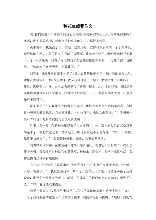 种花生感受作文