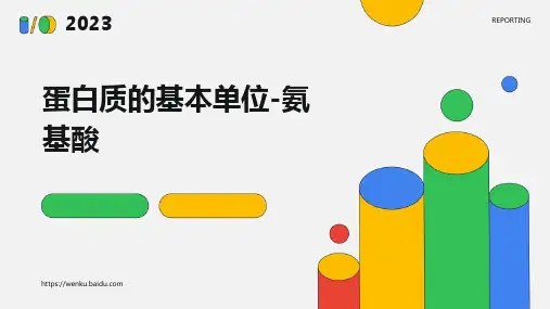 蛋白质的基本单位-氨基酸