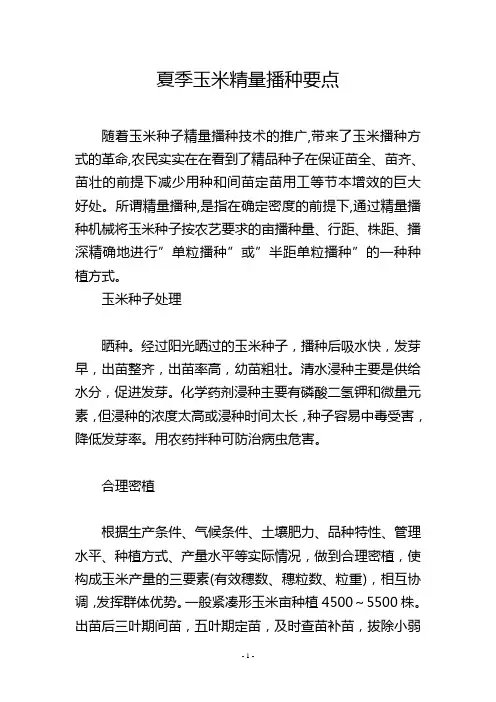 夏季玉米精量播种要点