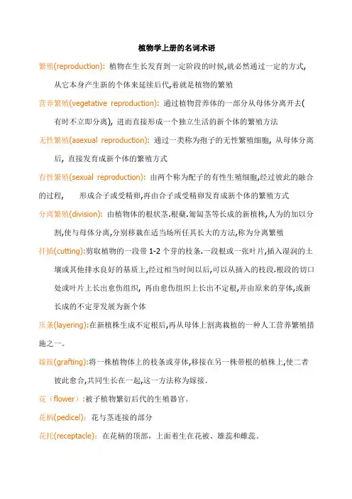 植物学名词解释