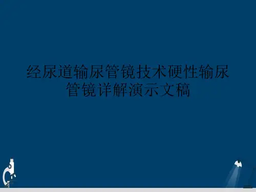 经尿道输尿管镜技术硬性输尿管镜详解演示文稿