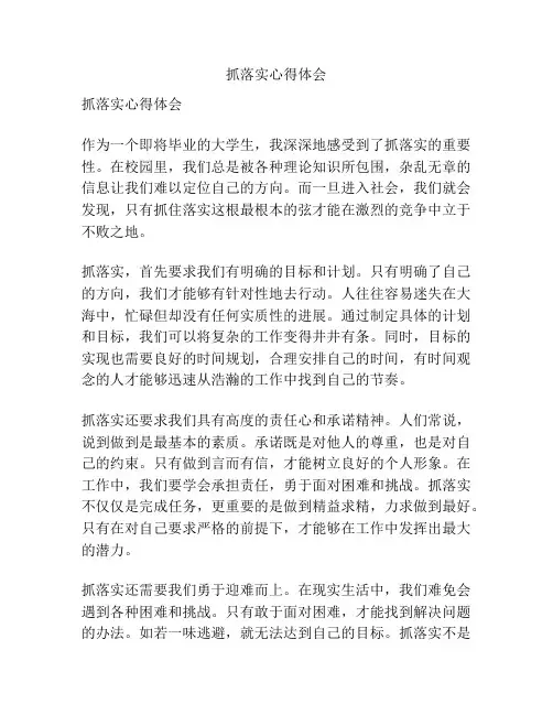 抓落实心得体会