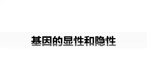 八年级生物下册：基因的显性和隐性【精品课件】