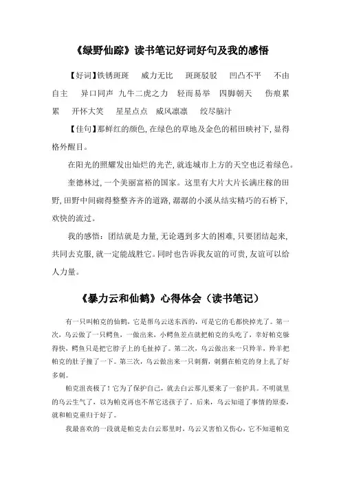 《绿野仙踪》读书笔记好词好句及我的感悟