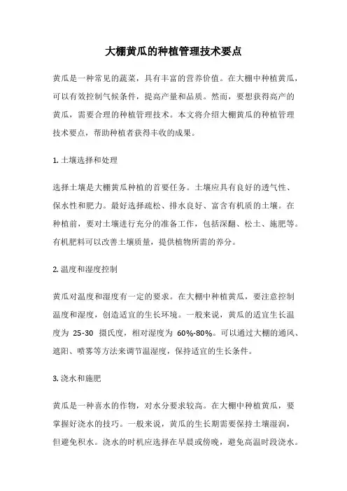 大棚黄瓜的种植管理技术要点