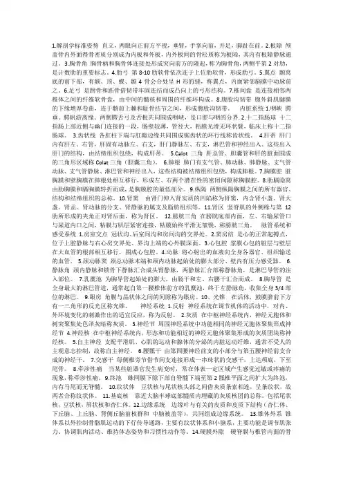 系统解剖学名词解释