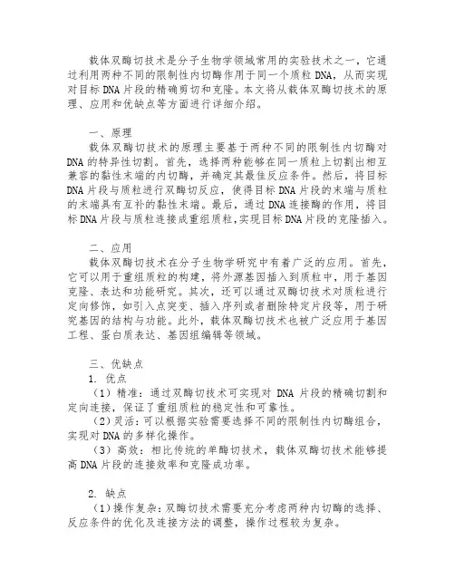 载体双酶切