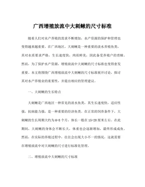 广西增殖放流中大刺鳅的尺寸标准
