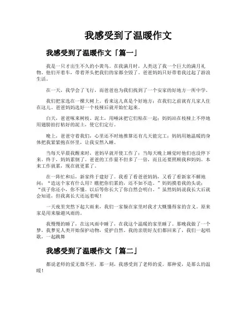 我感受到了温暖作文