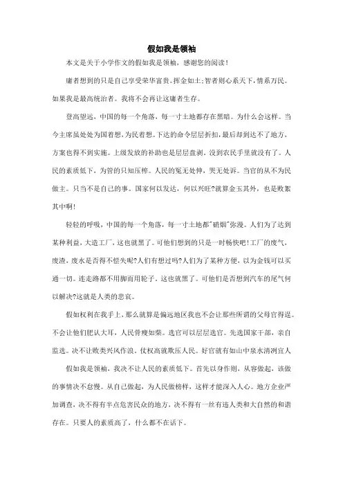 假如我是领袖_小学作文_1