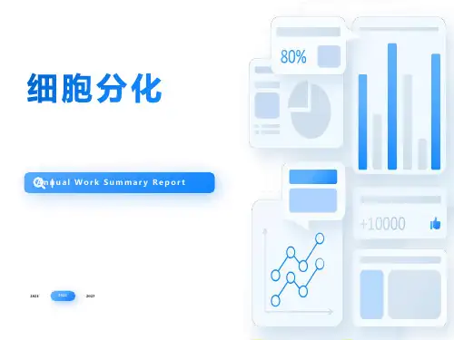 细胞生物学细胞分化