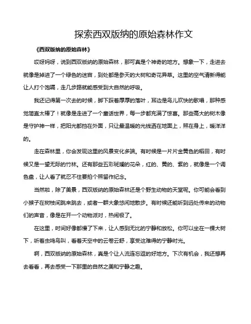探索西双版纳的原始森林作文