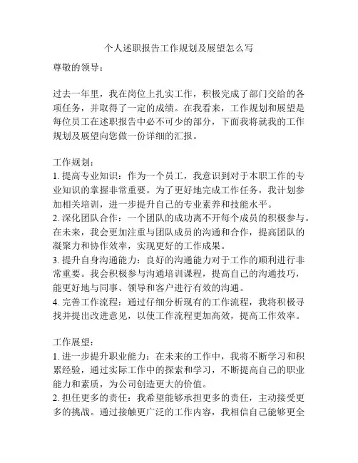 个人述职报告工作规划及展望怎么写