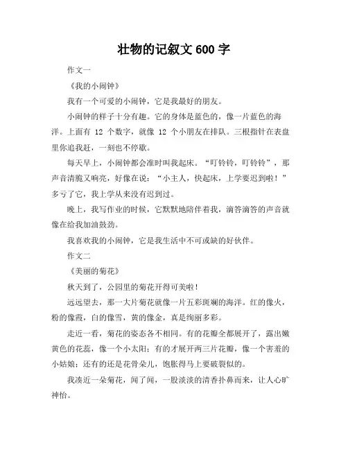 壮物的记叙文600字